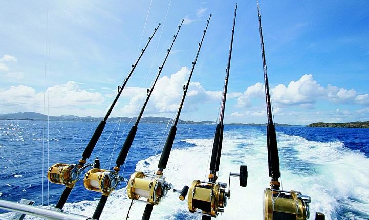 fishing expedition