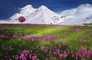 the alps